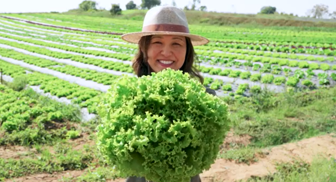 Agricultora de hortaliças